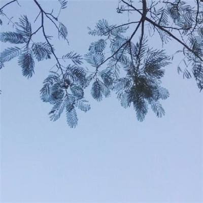 我的三国时代手游下载